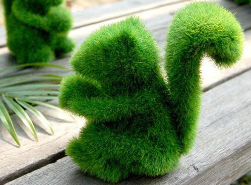 дизайн участка, ландшафтный дизайн дачи, дачный дизайн, ландшафтный дизайн на даче