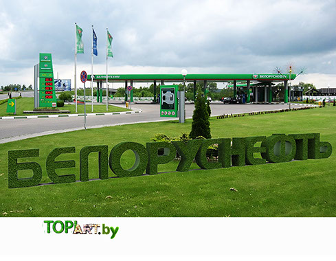 топиарий фигуры из искусственной травы, топиарные фигуры из искусственной травы купить